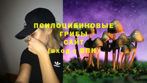 мескалин Белокуриха
