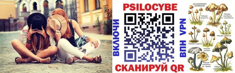 дарк нет Telegram  Белая Холуница  Псилоцибиновые грибы мухоморы  где купить наркотик 